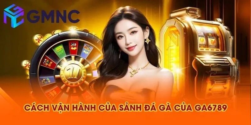 Cách vận hành của sảnh đá gà của GA6789