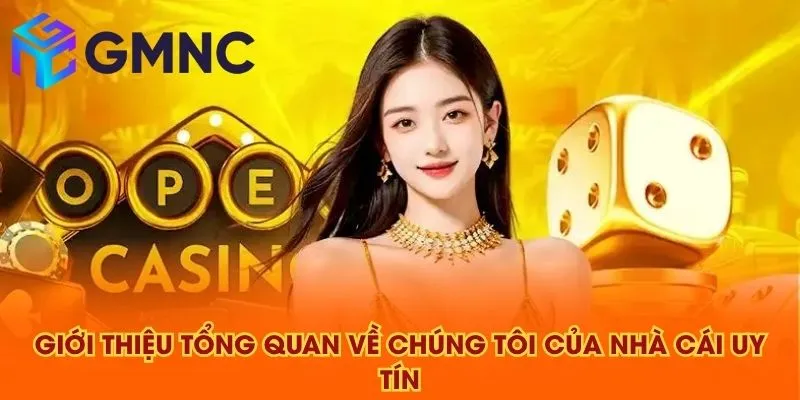 Giới thiệu tổng quan về chúng tôi của NHÀ CÁI UY TÍN