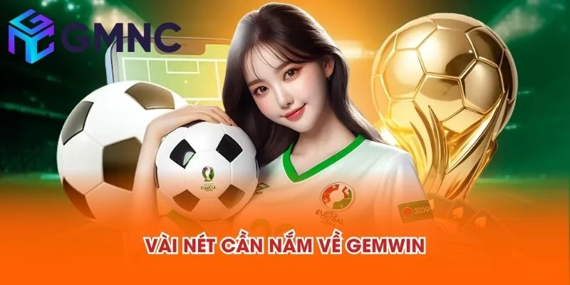 Vài nét cần nắm về GEMWIN